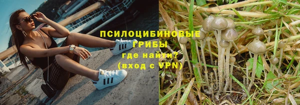 дживик Алексеевка